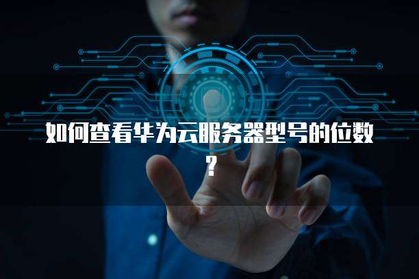 如何查看华为云服务器型号的位数？