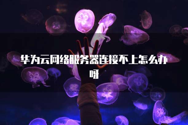 华为云网络服务器连接不上怎么办呀