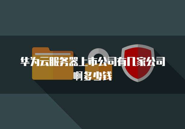 华为云服务器上市公司有几家公司啊多少钱