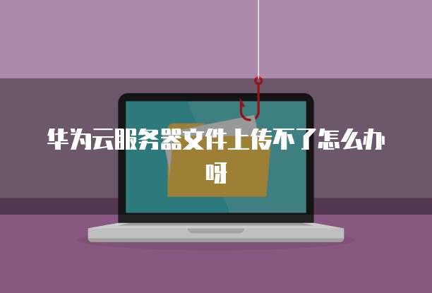 华为云服务器文件上传不了怎么办呀