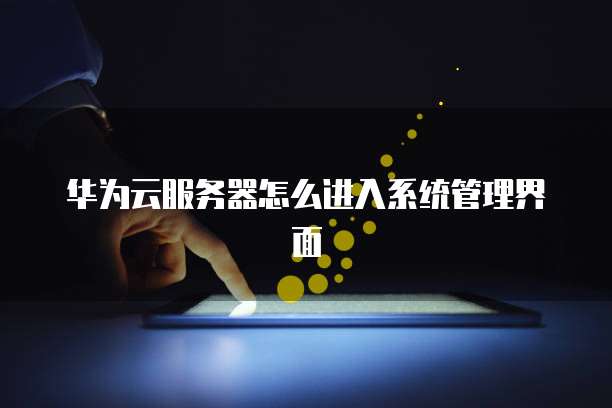 华为云服务器怎么进入系统管理界面