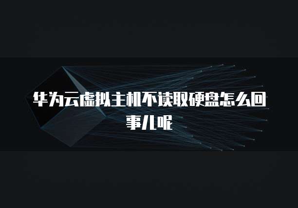 华为云虚拟主机不读取硬盘怎么回事儿呢