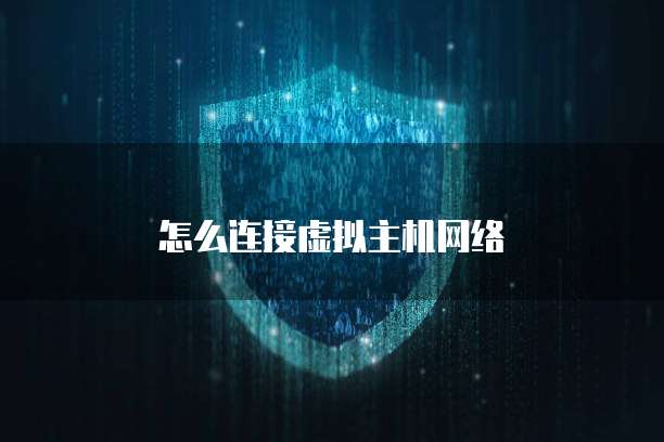 怎么连接虚拟主机网络