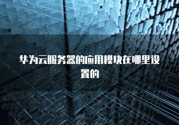 华为云服务器的应用模块在哪里设置的