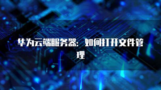 华为云端服务器：如何打开文件管理