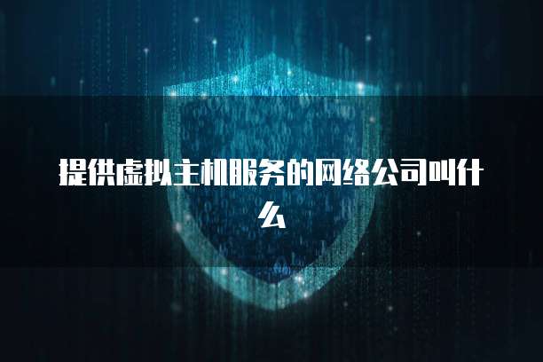 提供虚拟主机服务的网络公司叫什么