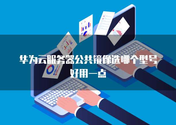 华为云服务器公共镜像选哪个型号好用一点