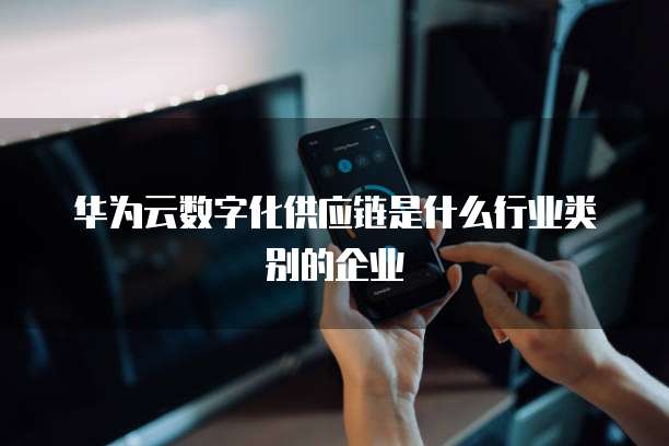 华为云数字化供应链是什么行业类别的企业