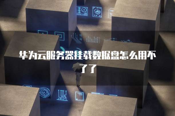 华为云服务器挂载数据盘怎么用不了了