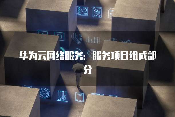 华为云网络服务：服务项目组成部分