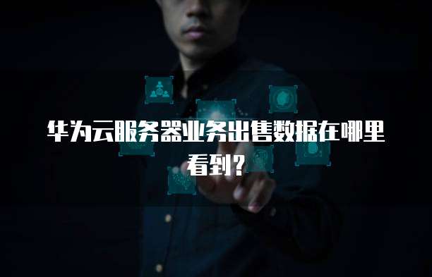 华为云服务器业务出售数据在哪里看到？
