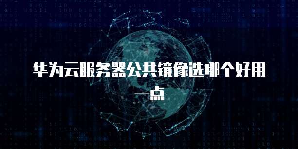 华为云服务器公共镜像选哪个好用一点