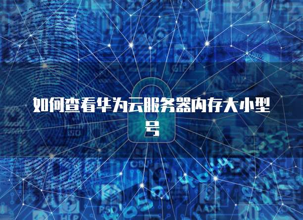 如何查看华为云服务器内存大小型号