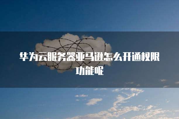 华为云服务器亚马逊怎么开通权限功能呢