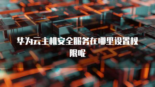 华为云主机安全服务在哪里设置权限呢
