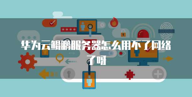 华为云鲲鹏服务器怎么用不了网络了呀