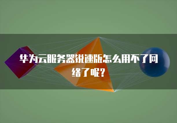 华为云服务器锐速版怎么用不了网络了呢？