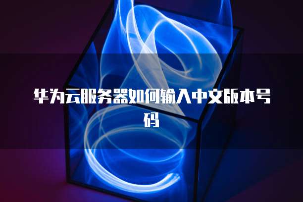 华为云服务器如何输入中文版本号码