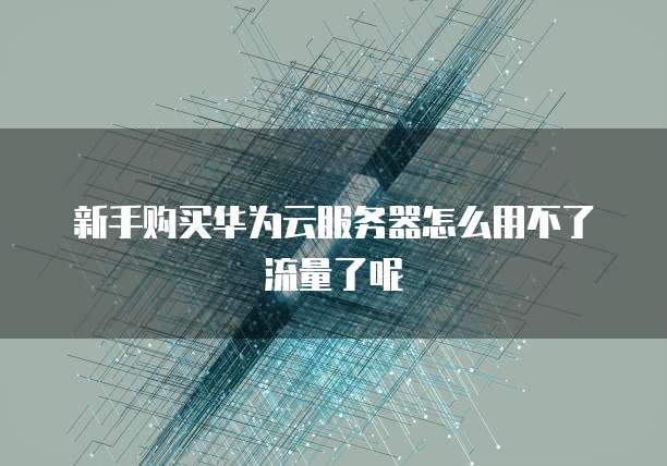 新手购买华为云服务器怎么用不了流量了呢