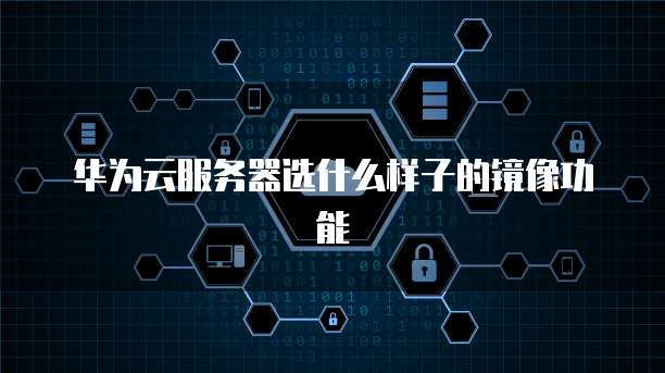 华为云服务器选什么样子的镜像功能