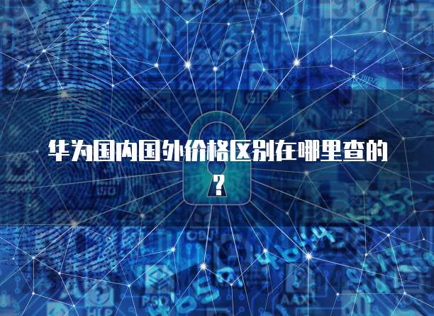 华为国内国外价格区别在哪里查的？