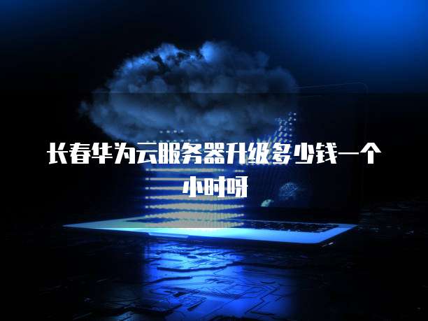 长春华为云服务器升级多少钱一个小时呀