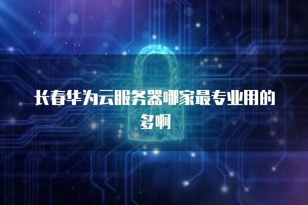 长春华为云服务器哪家最专业用的多啊