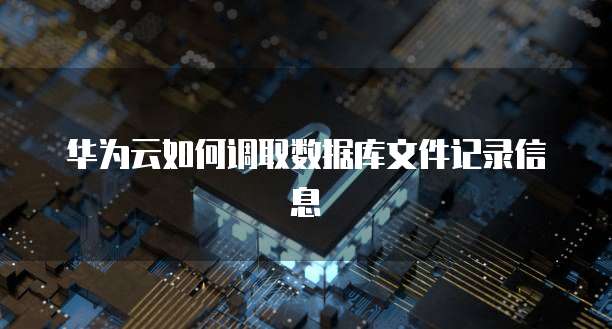 华为云如何调取数据库文件记录信息