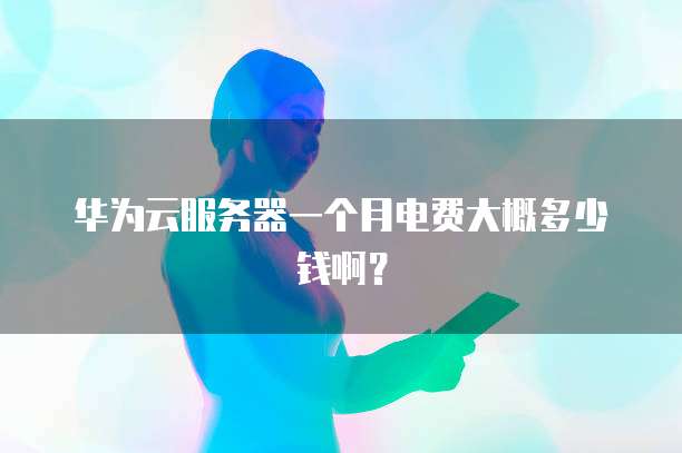 华为云服务器一个月电费大概多少钱啊？