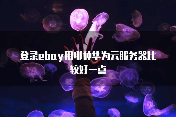 登录ebay用哪种华为云服务器比较好一点