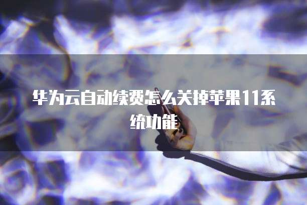 华为云自动续费怎么关掉苹果11系统功能