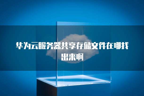 华为云服务器共享存储文件在哪找出来啊