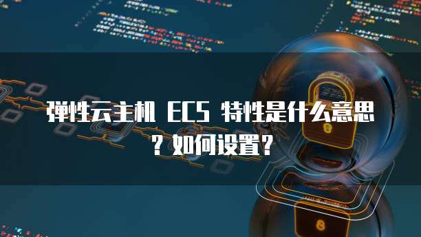 弹性云主机 ECS 特性是什么意思？如何设置？