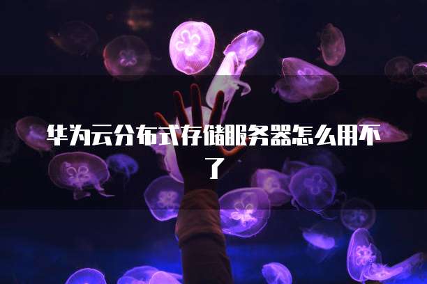 华为云分布式存储服务器怎么用不了