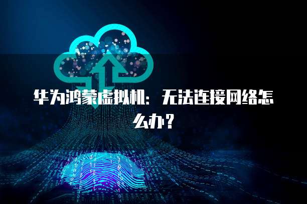 华为鸿蒙虚拟机：无法连接网络怎么办？