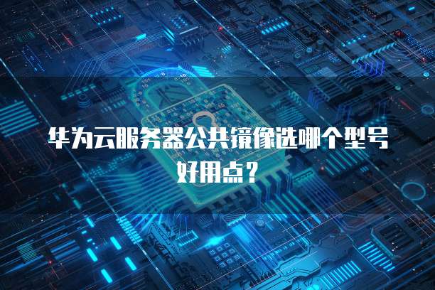 华为云服务器公共镜像选哪个型号好用点？