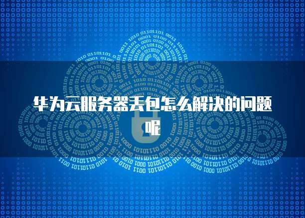 华为云服务器丢包怎么解决的问题呢