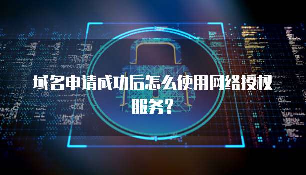 域名申请成功后怎么使用网络授权服务？