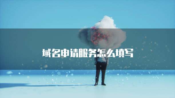 域名申请服务怎么填写