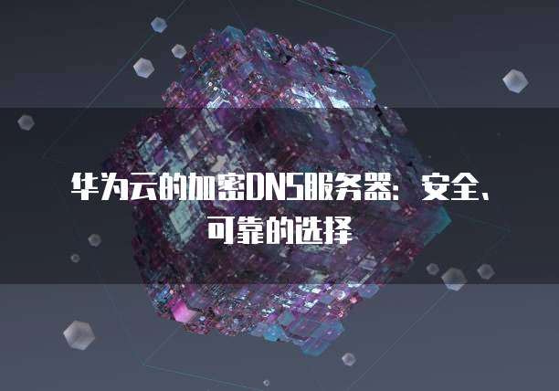 华为云的加密DNS服务器：安全、可靠的选择
