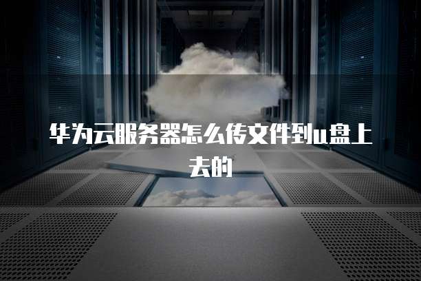 华为云服务器怎么传文件到u盘上去的