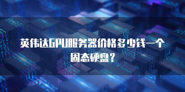 英伟达GPU服务器价格多少钱一个固态硬盘？