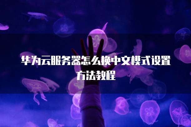 华为云服务器怎么换中文模式设置方法教程