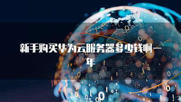新手购买华为云服务器多少钱啊一年