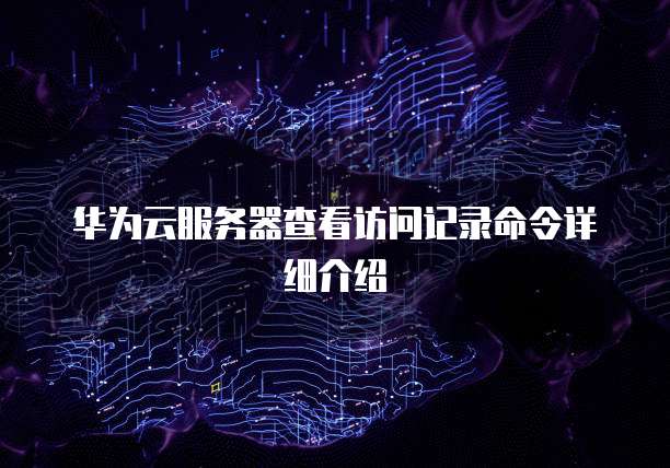 华为云服务器查看访问记录命令详细介绍