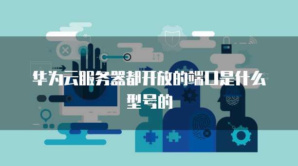 华为云服务器都开放的端口是什么型号的