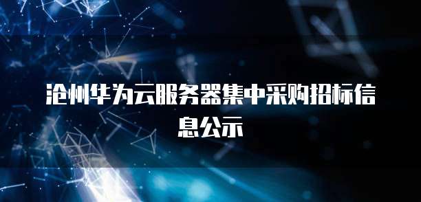 沧州华为云服务器集中采购招标信息公示