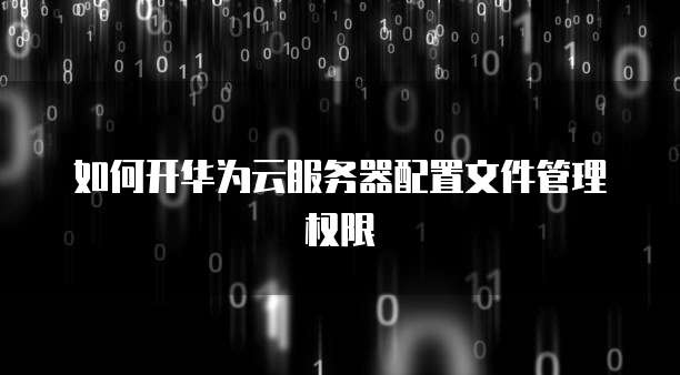如何开华为云服务器配置文件管理权限