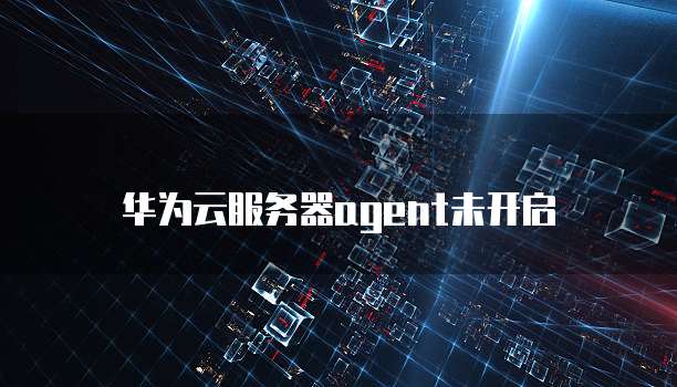 华为云服务器agent未开启