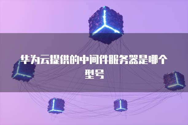 华为云提供的中间件服务器是哪个型号